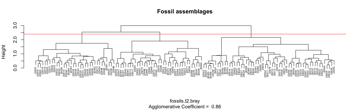 Dendrogram of fossils