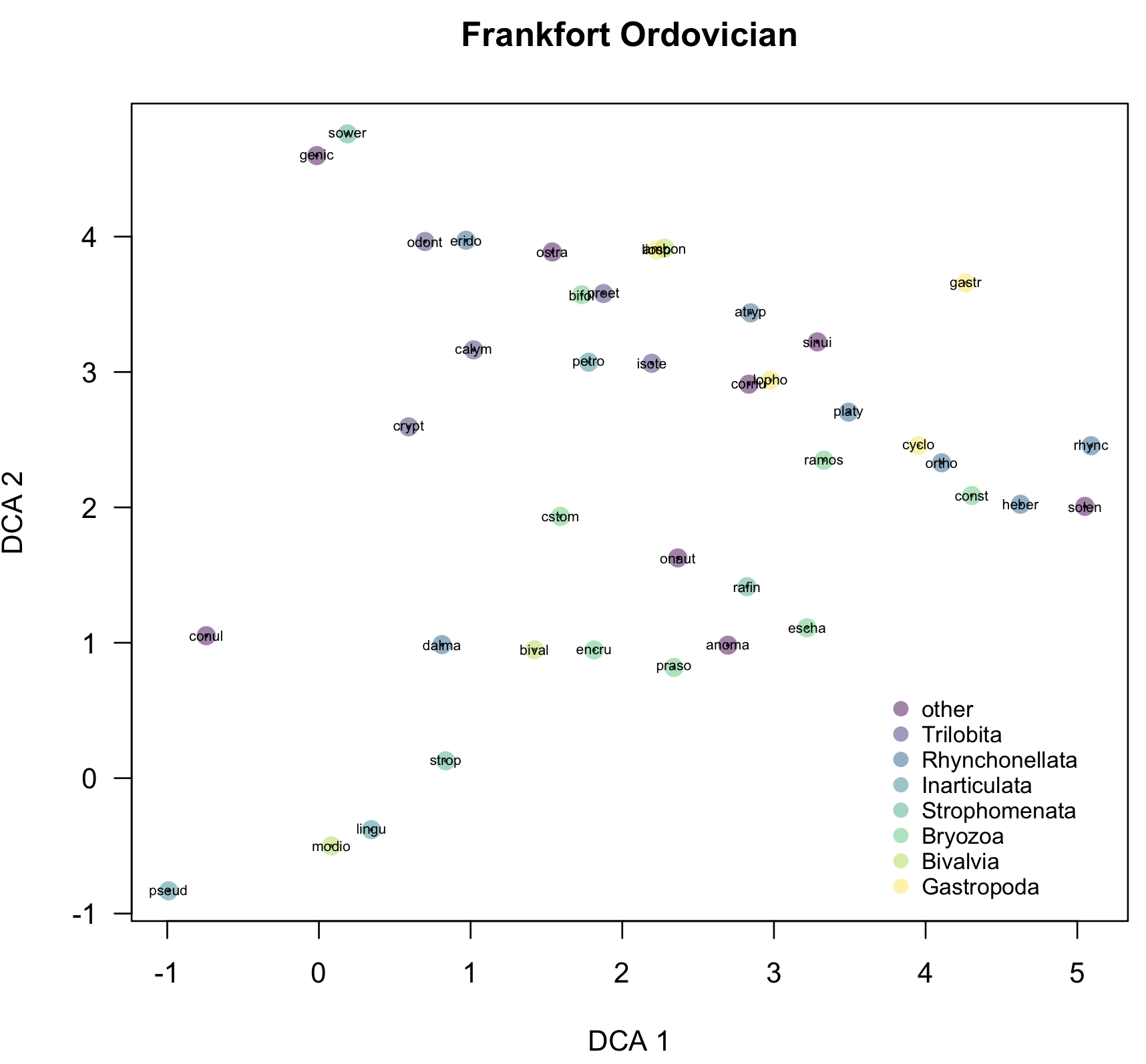 simple color-coded plot of species scores