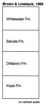 Brown and Lineback Lithostratigraphy
