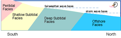 Facies Model