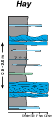 Hay's interpretation