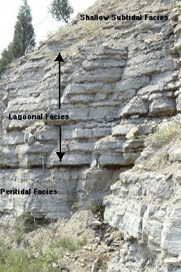 Lagoonal outcrop