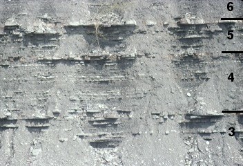 outcrop of meter-scale cycles