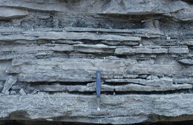 outcrop of proximal storm beds