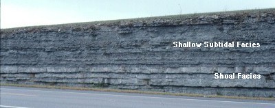 Shoal outcrop