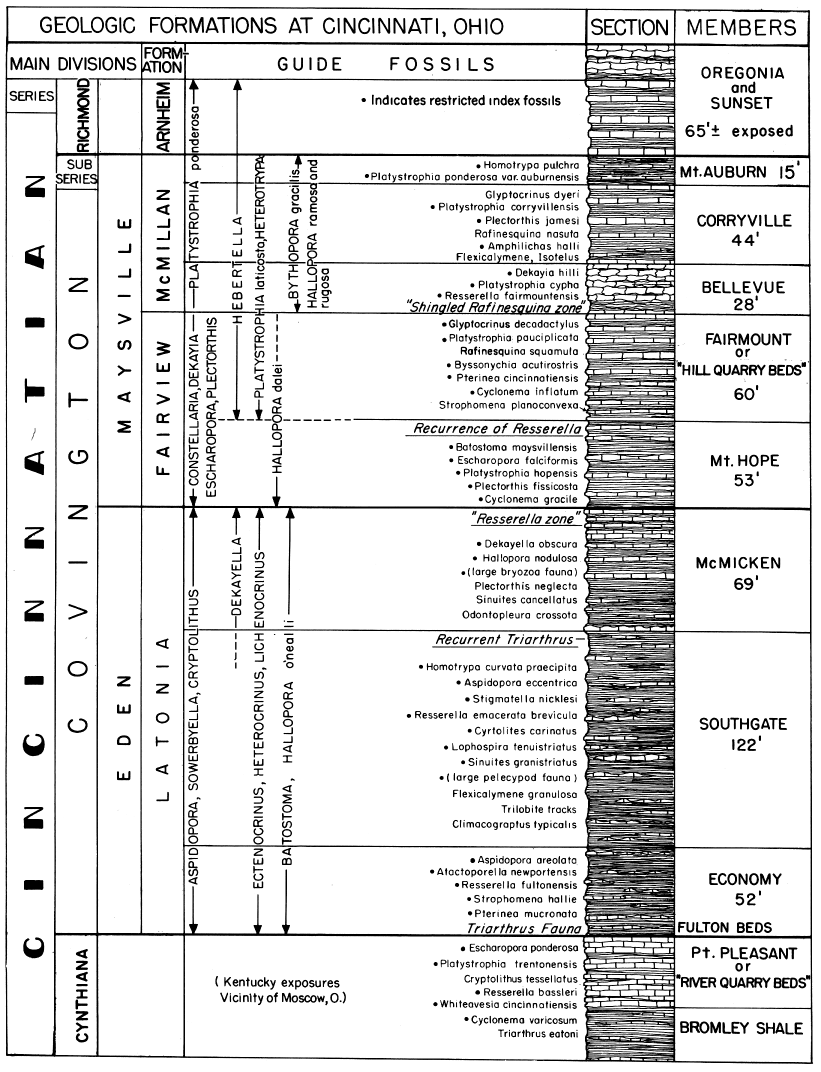 Caster, Dalvé, and Pope's Eden-Maysville chart