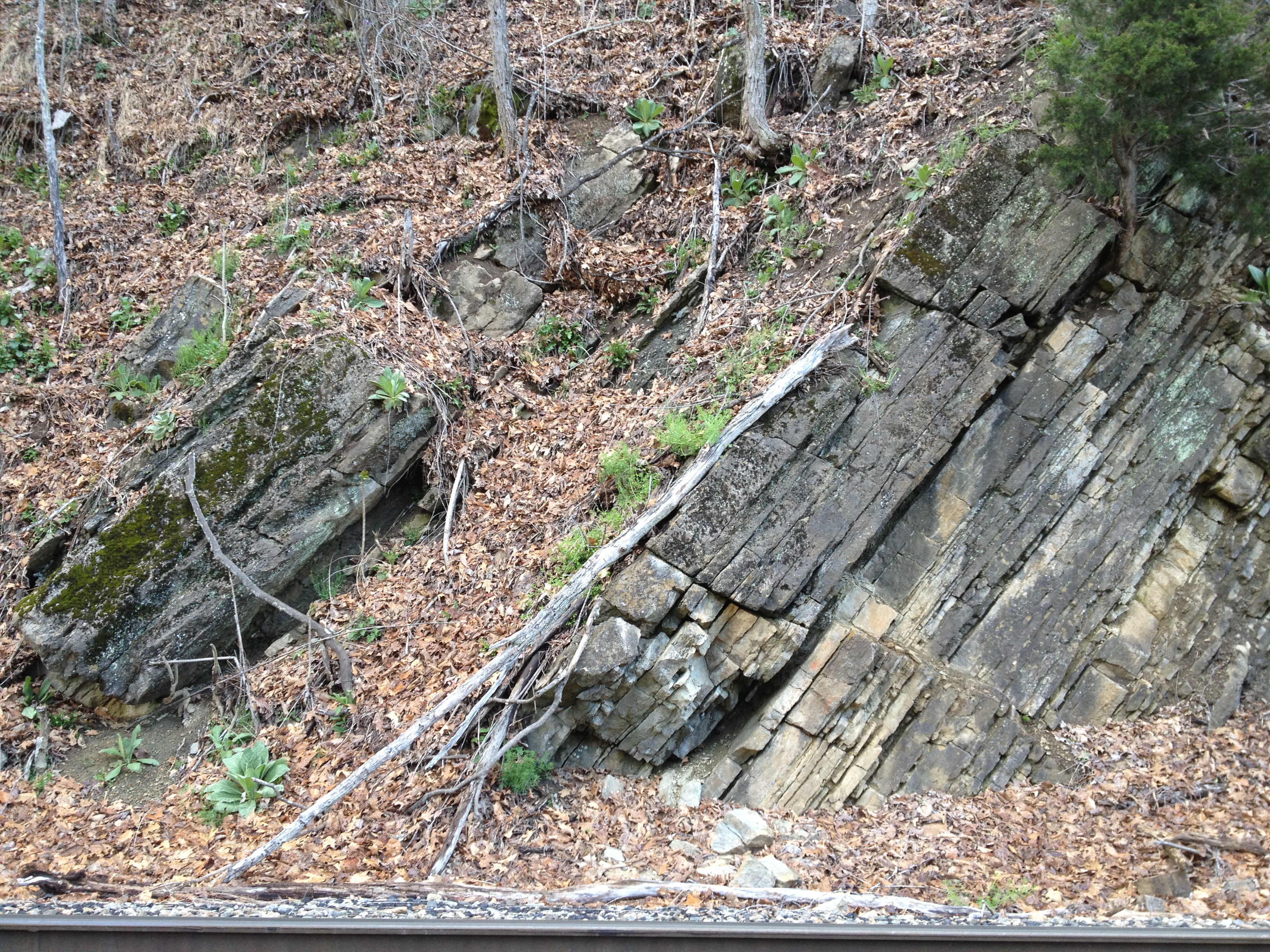 flooding surface capped with offshore mudstone